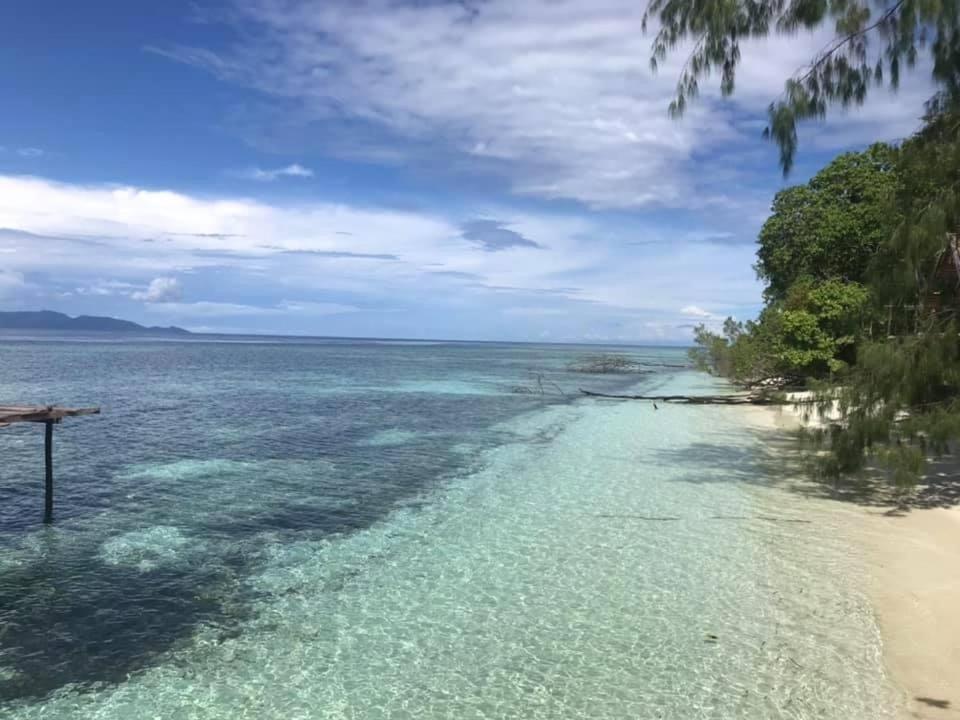 Tabari Dive Lodge Pulau Mansuar Eksteriør billede