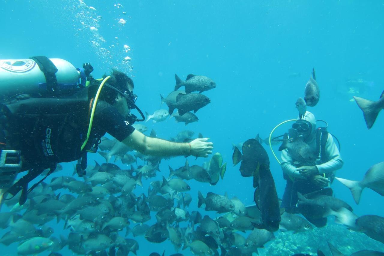 Tabari Dive Lodge Pulau Mansuar Eksteriør billede