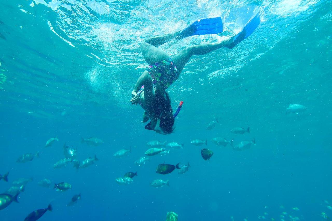 Tabari Dive Lodge Pulau Mansuar Eksteriør billede